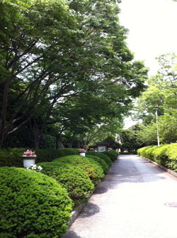 散歩道