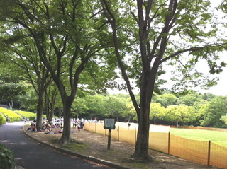 散歩道
