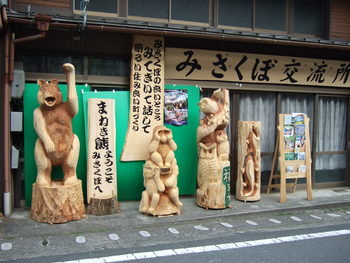 水窪に熊が現れた
