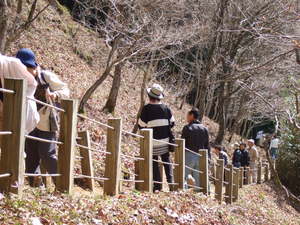 月末には「カタクリの里」
