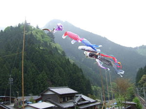 今年も戻ってきました
