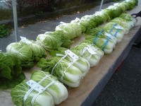 野菜の整列