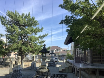 愉快で おいしい 夏ワイン ♪ 愉快で おいしい 夏ワイン ♪