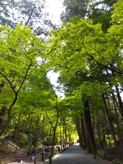 ここは ずーっと いられる避暑地 ♪♪♪ ここは ずーっと いられる避暑地 ♪♪♪