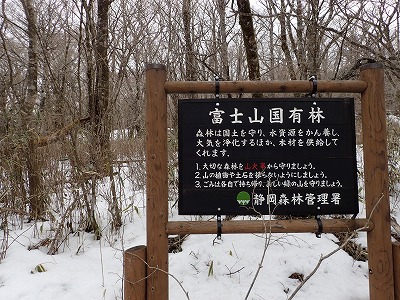 富士山のシカ 富士山のシカ