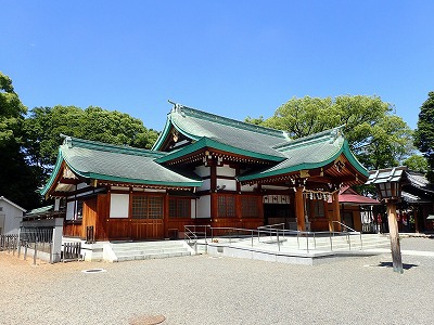 カメの楽園 カメの楽園