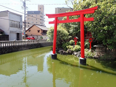 カメの楽園 カメの楽園