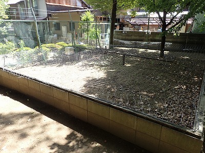 カメの楽園 カメの楽園
