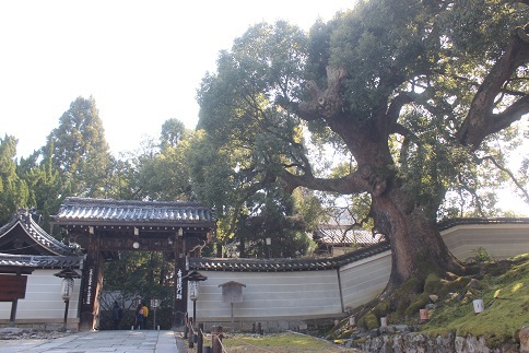 京都　青龍殿　4年目の点検