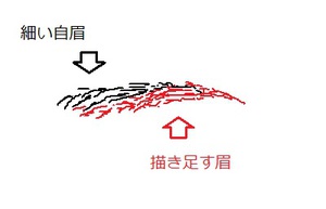 メイクモデルさん⑥ ~メイクの基本、目の錯覚を利用すると~ メイクモデルさん⑥ ~メイクの基本、目の錯覚を利用すると~