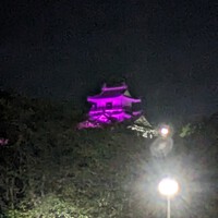 浜松城「期間限定」紫色にライトアップ