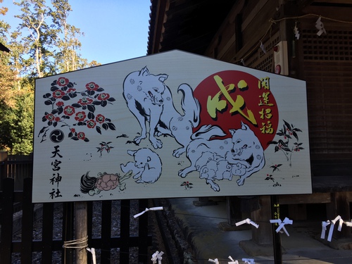 小國神社の犬と天宮神社の犬
