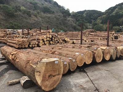 森町産の木材が・・・・