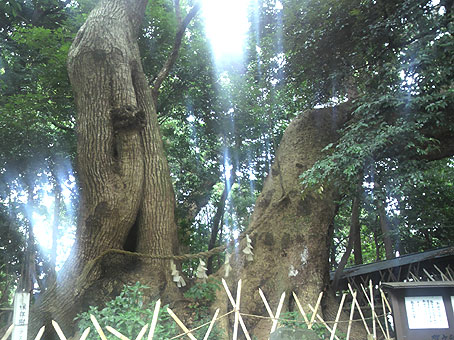 神が隠れる雨乞いの神社
