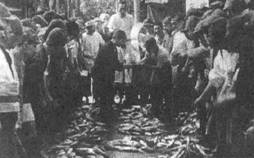 浜松まちなかの魚市場