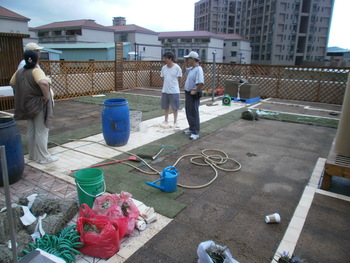 台湾で屋上緑化