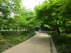 初夏の徳川園