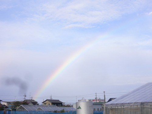雨のち晴れのち虹
