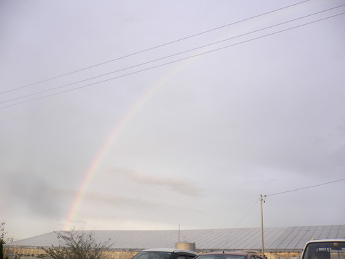 雨のち晴れのち虹