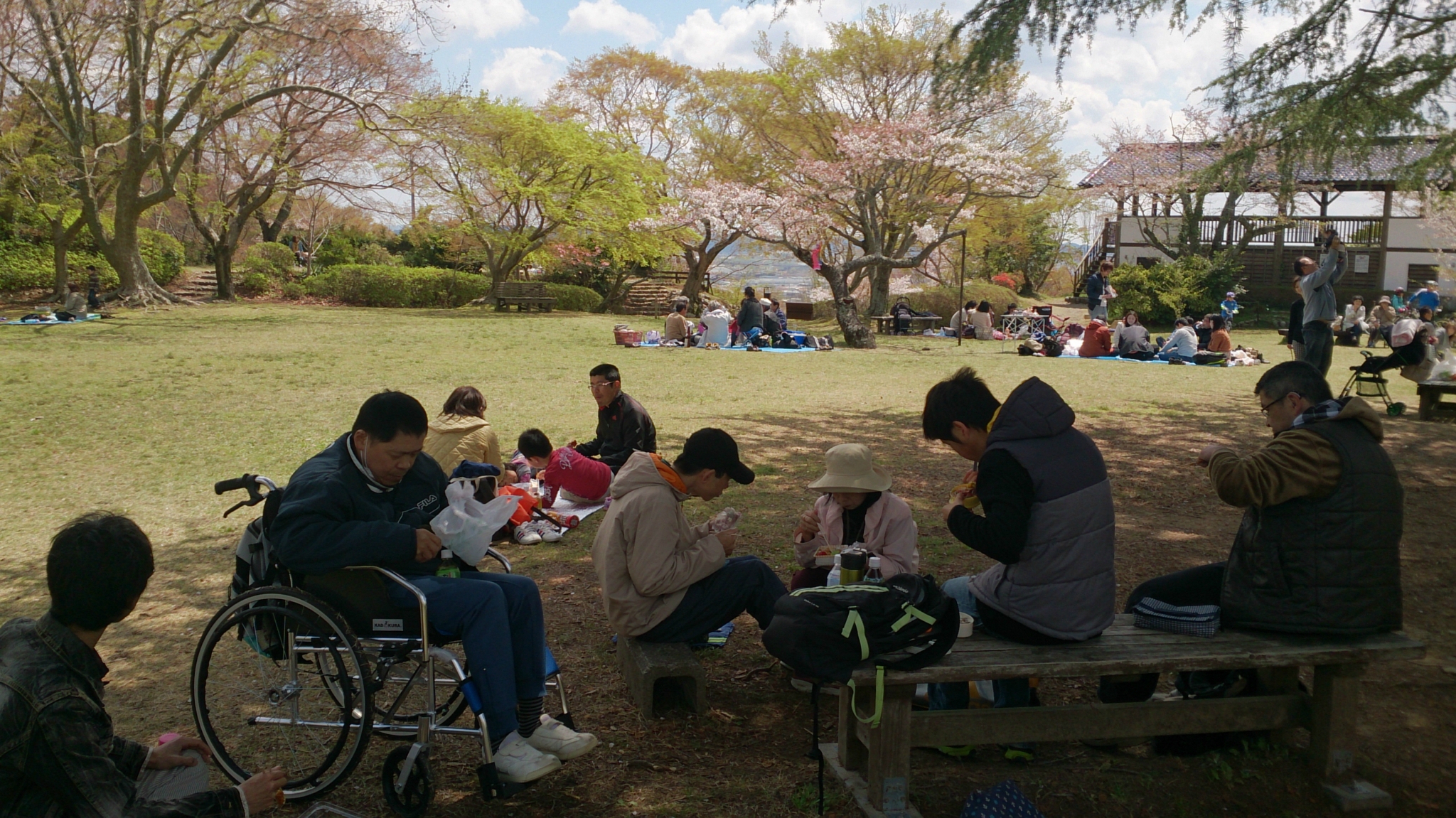 桜を見てきました!! 桜を見てきました!!