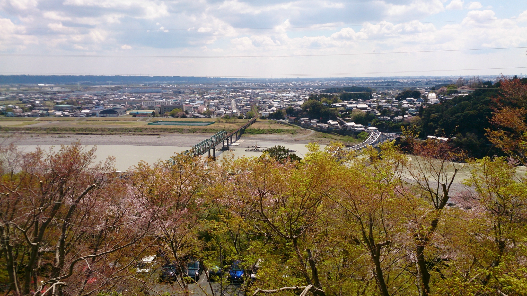 桜を見てきました!! 桜を見てきました!!