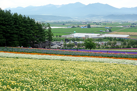 富良野2015(その2) 富良野2015(その2)