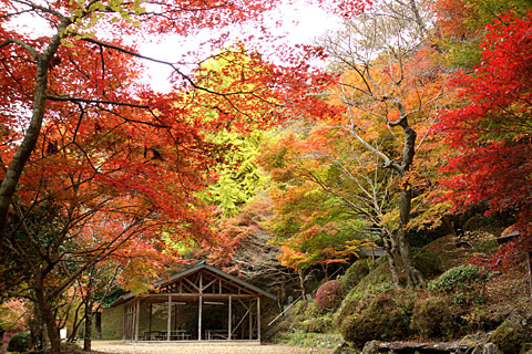 稲武:大井平公園 稲武:大井平公園