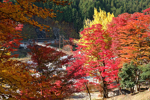 稲武:大井平公園 稲武:大井平公園