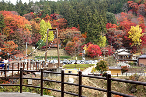 稲武:大井平公園 稲武:大井平公園