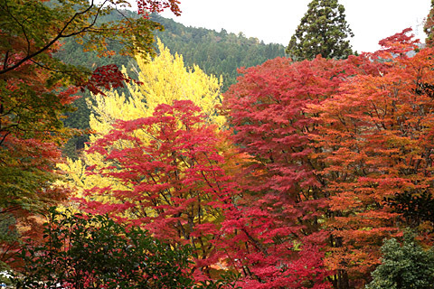 稲武:大井平公園 稲武:大井平公園