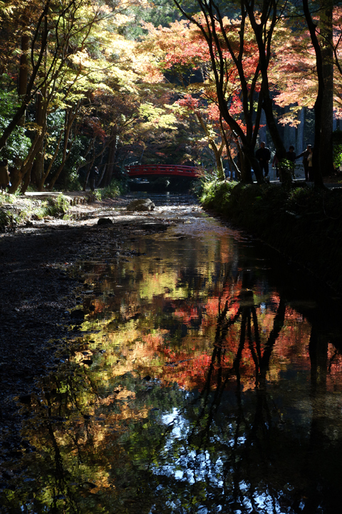 小国神社の紅葉 小国神社の紅葉