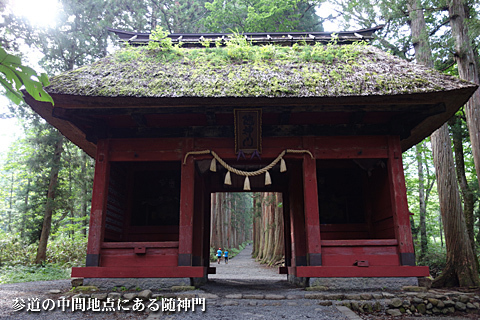 一の宮巡り(外編-戸隠神社・奥社) 一の宮巡り(外編-戸隠神社・奥社)