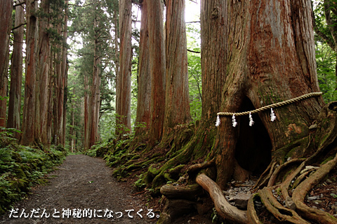 一の宮巡り(外編-戸隠神社・奥社) 一の宮巡り(外編-戸隠神社・奥社)