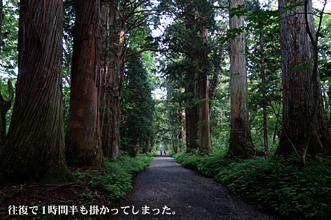 一の宮巡り(外編-戸隠神社・奥社) 一の宮巡り(外編-戸隠神社・奥社)