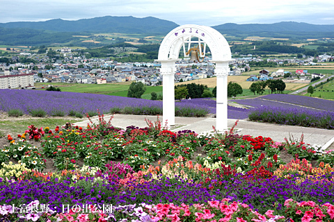 富良野2015(その4) 富良野2015(その4)