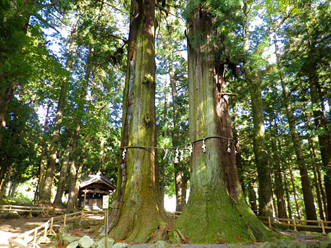 一の宮巡り(外編-御室・河口浅間神社) 一の宮巡り(外編-御室・河口浅間神社)