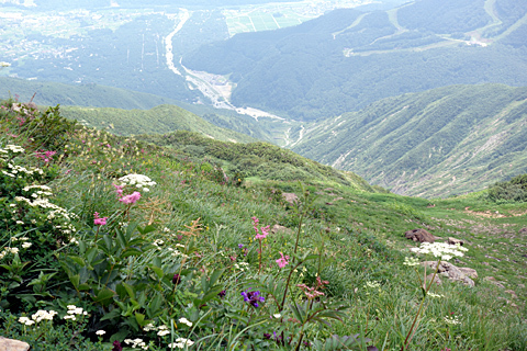 白馬八方池 白馬八方池