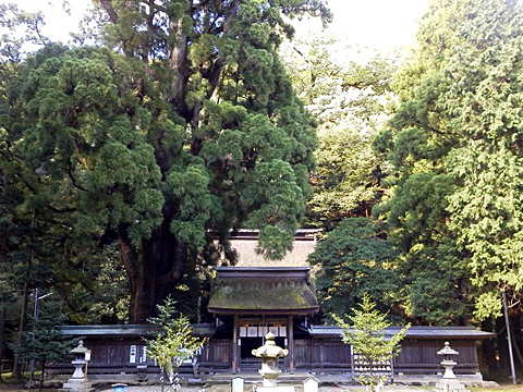 一の宮巡り(その19・若狭彦神社) 一の宮巡り(その19・若狭彦神社)