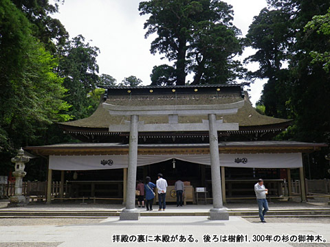 鹿島神社:拝殿 鹿島神社:拝殿