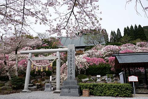 カナメ神宮&井伊谷城 カナメ神宮&井伊谷城