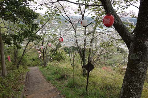 カナメ神宮&井伊谷城 カナメ神宮&井伊谷城
