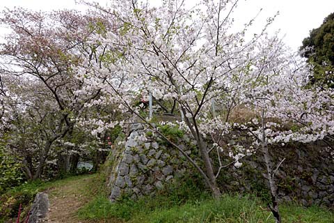 カナメ神宮&井伊谷城 カナメ神宮&井伊谷城