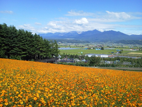 そうだ、旅にでよう・・・かな そうだ、旅にでよう・・・かな