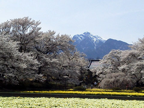 実相寺 実相寺