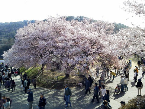 高遠 高遠