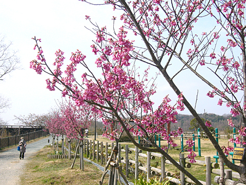 Spring is coming. Spring is coming.