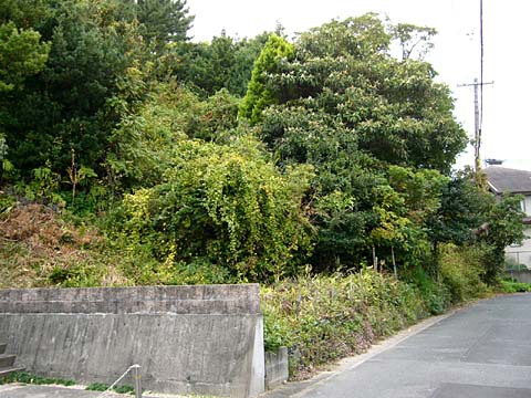 宅地造成計画地 宅地造成計画地