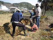 掛川で化石採集