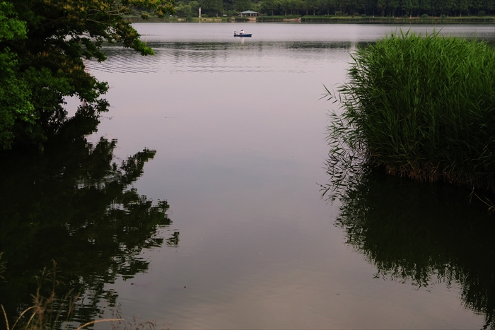 梅雨時の佐鳴湖