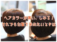 新メニュー 新メニュー